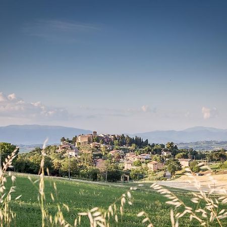 Domus In Castro Bed and Breakfast Montecchio  Εξωτερικό φωτογραφία