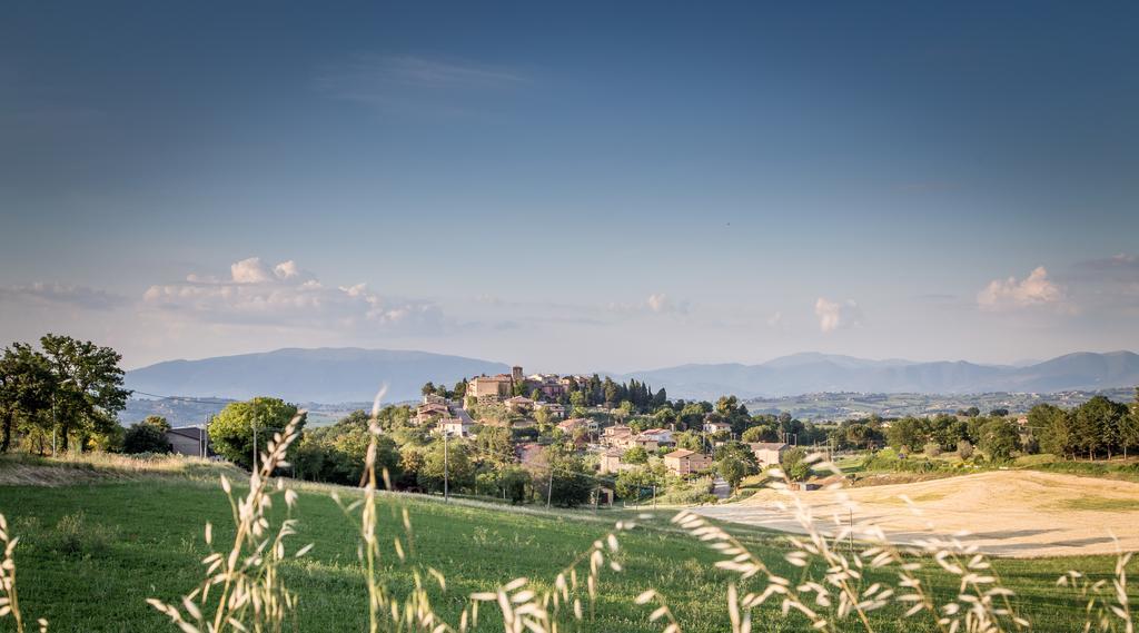 Domus In Castro Bed and Breakfast Montecchio  Εξωτερικό φωτογραφία